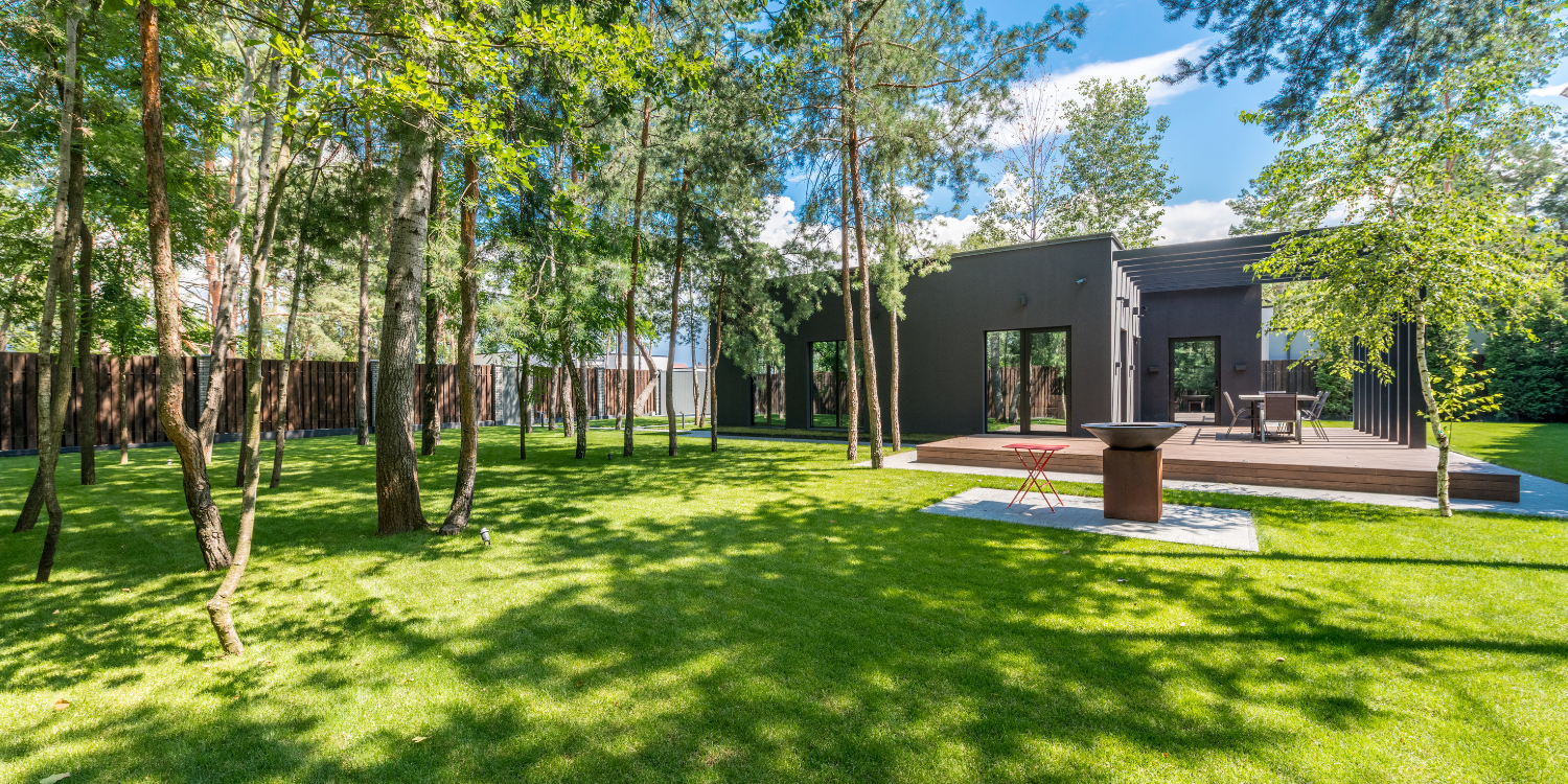 How Tree Trimming Can Boost Your Landscape’s Health and Aesthetics