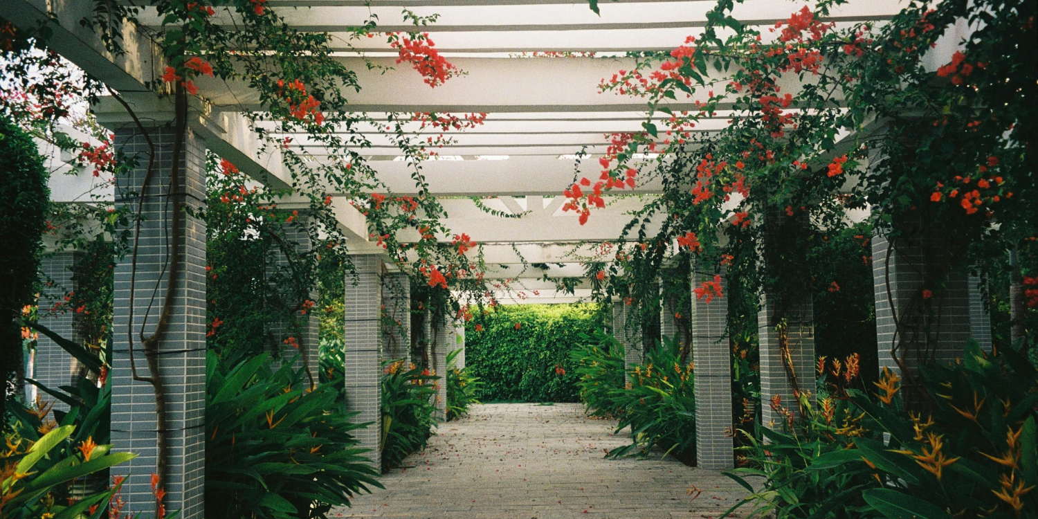 Hire a Certified Arborist