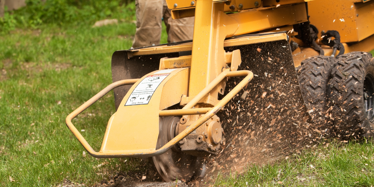 Why Tree Removal Should Be Left to the Professionals