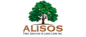 Alisos Tree Service & Land Care Inc.